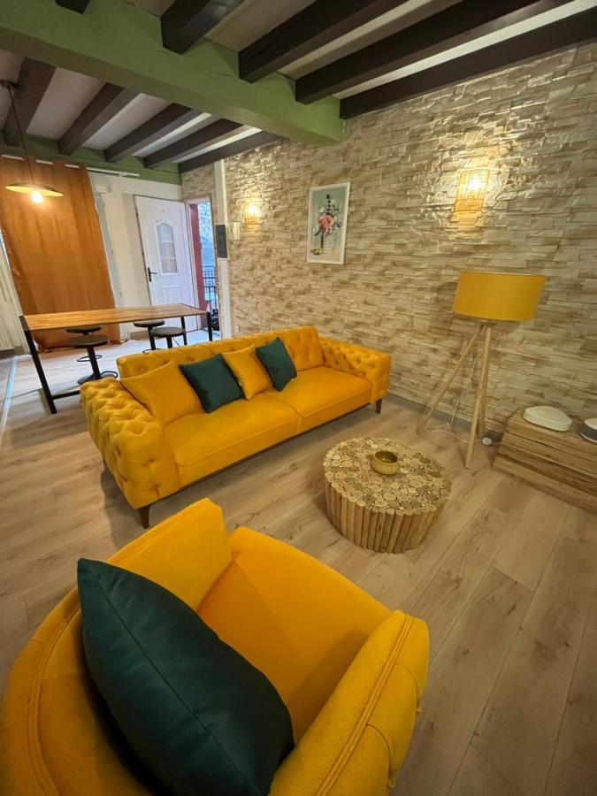 Appart Hotel Le 8 Le Duplex Macon Bagian luar foto